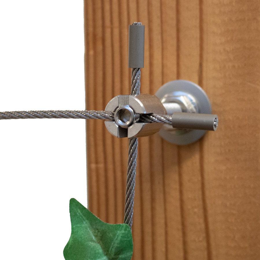 Wandhalter / Seilhalter WH50 für 50mm Ranksystem / Rankhilfe Wandhalter / Seilhalter WH50 für 50mm Ranksystem / Rankhilfe