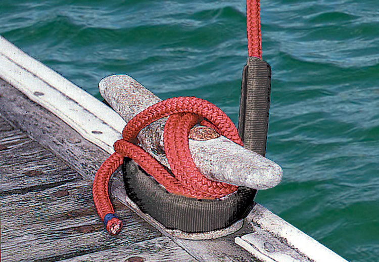DAVIS CAFE GUARD Scheuerschutz für Festmacher | 2 Stück | für Leinen Ø 10–25 mm DAVIS CAFE GUARD Scheuerschutz für Festmacher | 2 Stück | für Leinen Ø 10–25 mm